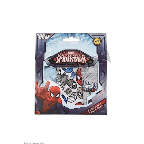Culottes Garçon Spiderman en Boîte de 3